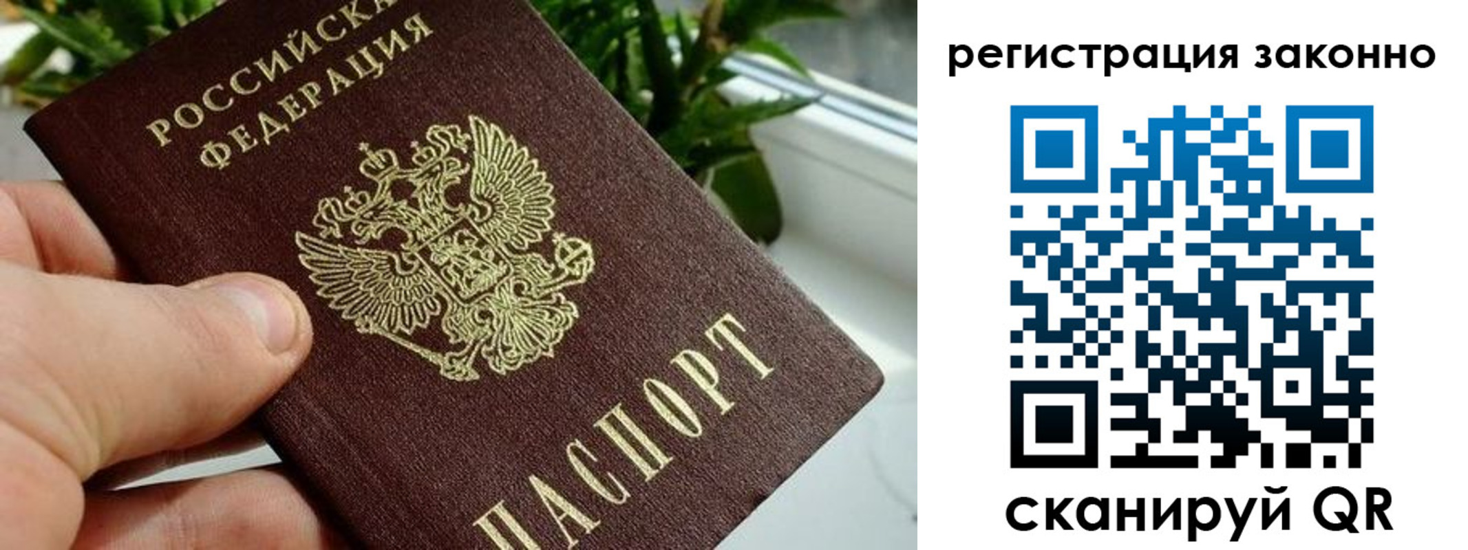 прописка гарантия в Обояни